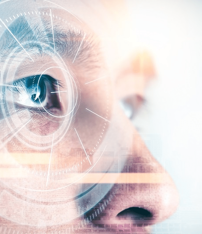 Image of Due diligence service